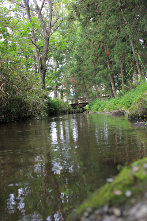 1400779170827