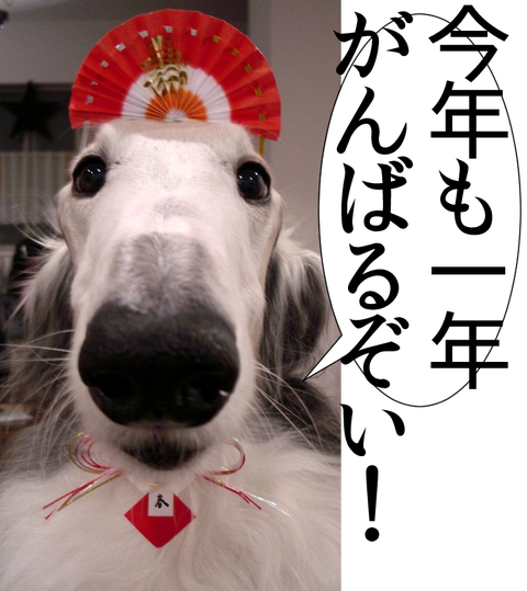 1420187123841