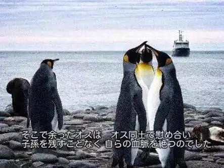 1536070486189