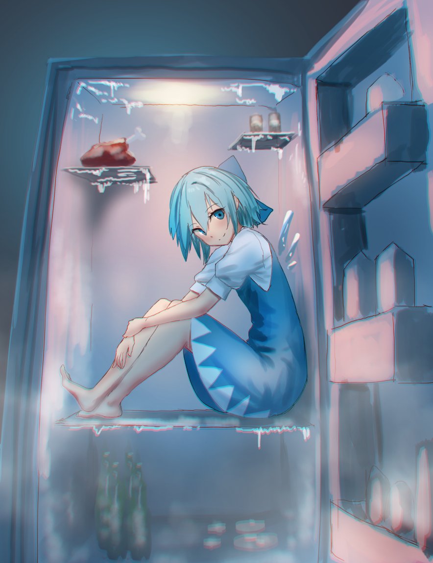 東方 もし冷蔵庫の中身がチルノだったら 東方まとめたいブログ 東方 もし冷蔵庫の中身がチルノだったら 東方まとめたいブログ