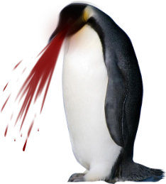 1447419595425