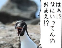 1449928146912