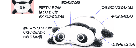 imgd219a6b0fpp74c