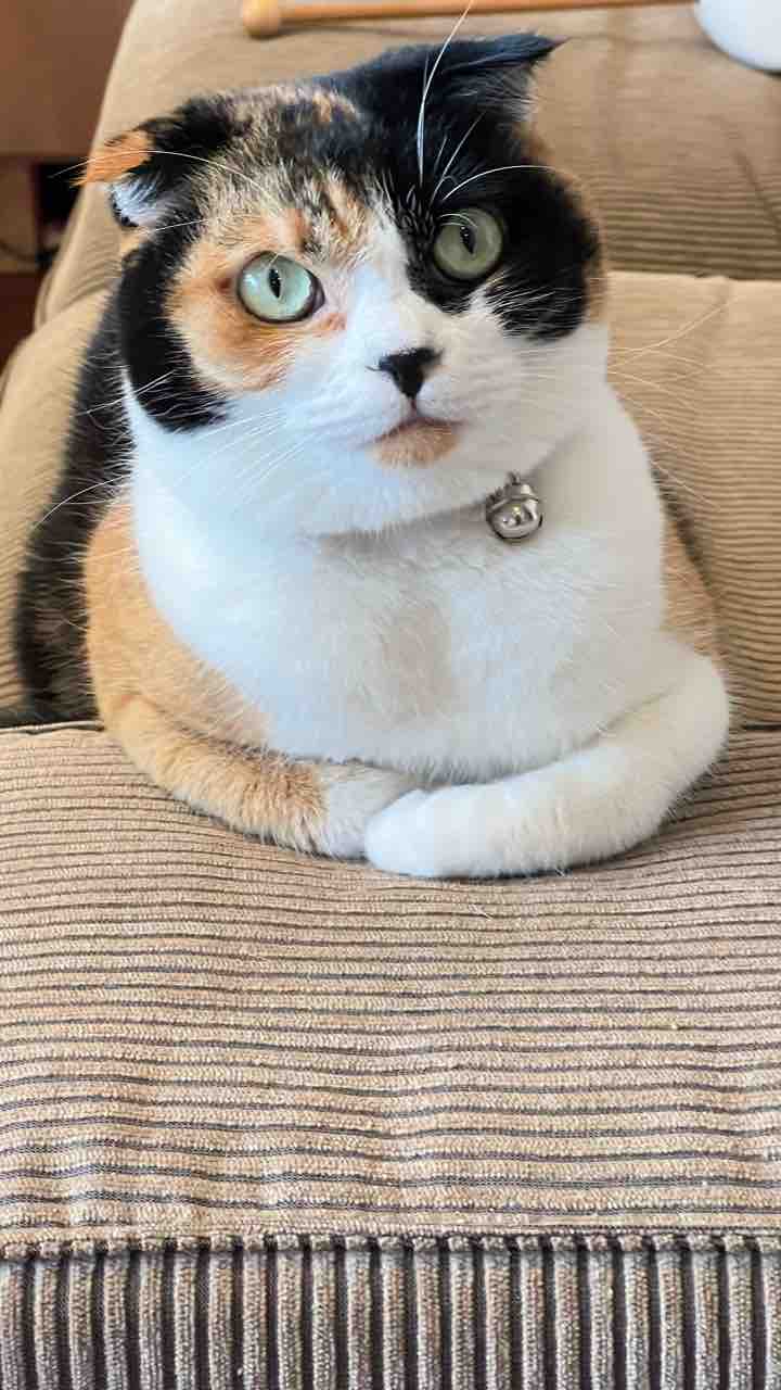 FullSizeRender