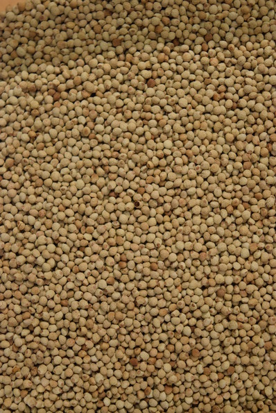 egoma