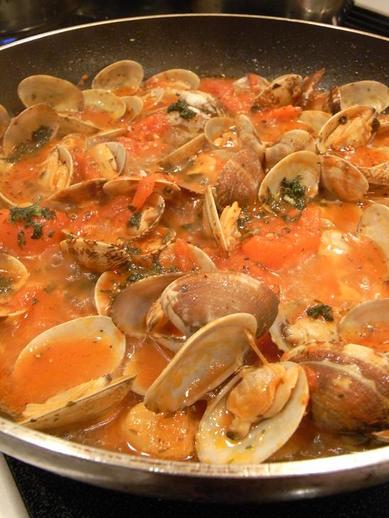 ¥Ü¥ó¥´¥ì¼ÑµÍ¤áÃæb