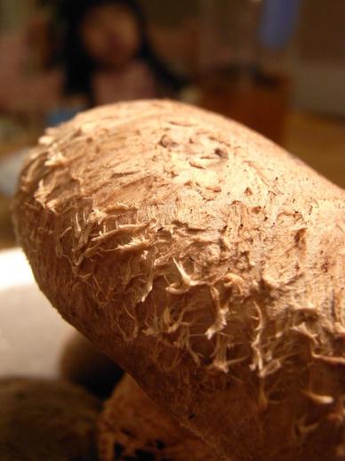 ´Ó°æ±à¥·¥¤¥¿¥±¤¢¤Ã¤×b