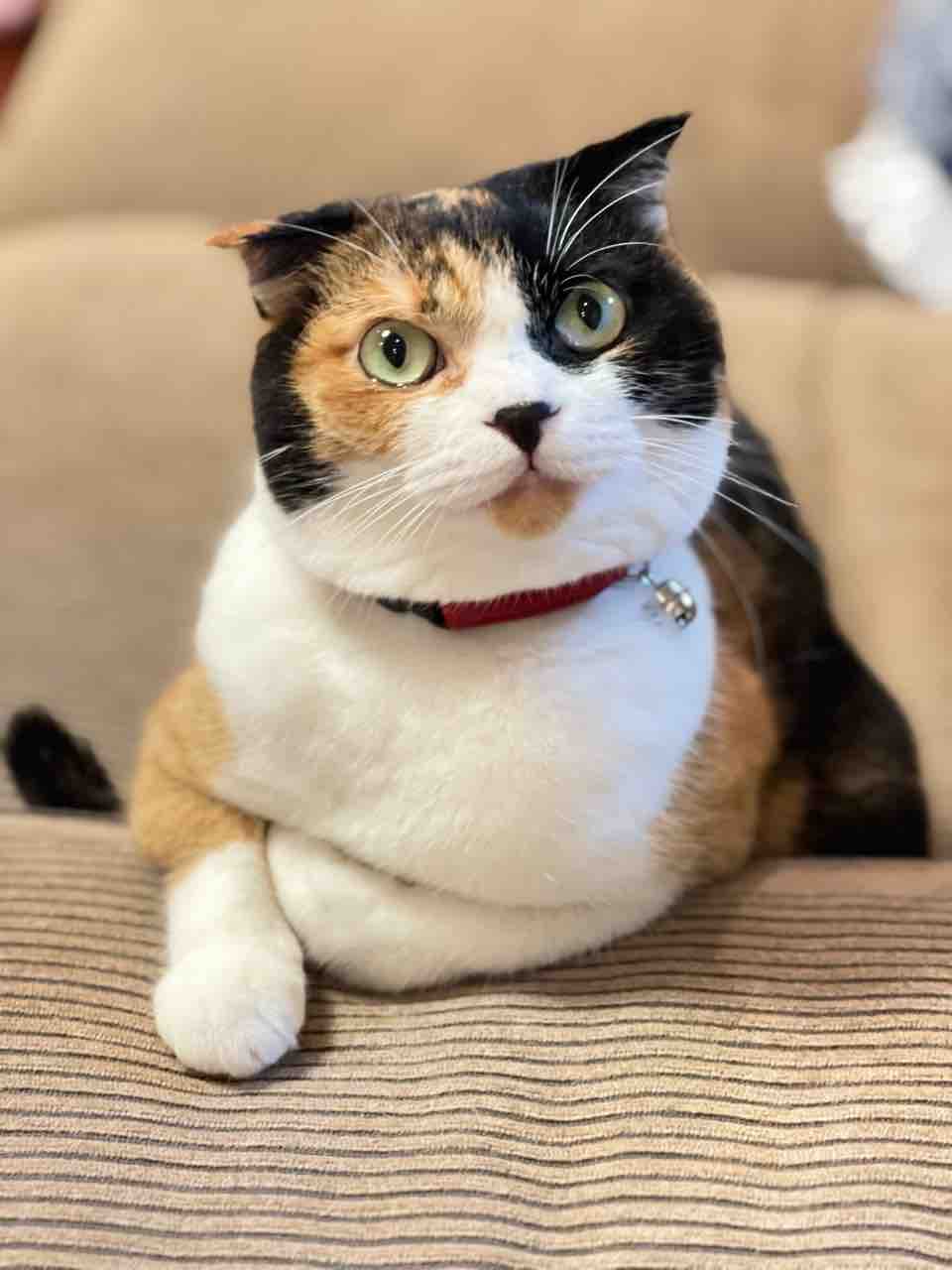 FullSizeRender