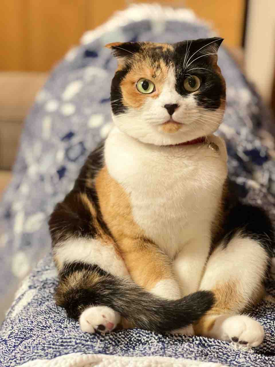 FullSizeRender
