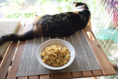 ���ƶ���