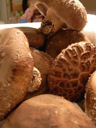 ´Ó°æ±à¥·¥¤¥¿¥±¥¢¥Ã¥×£²b