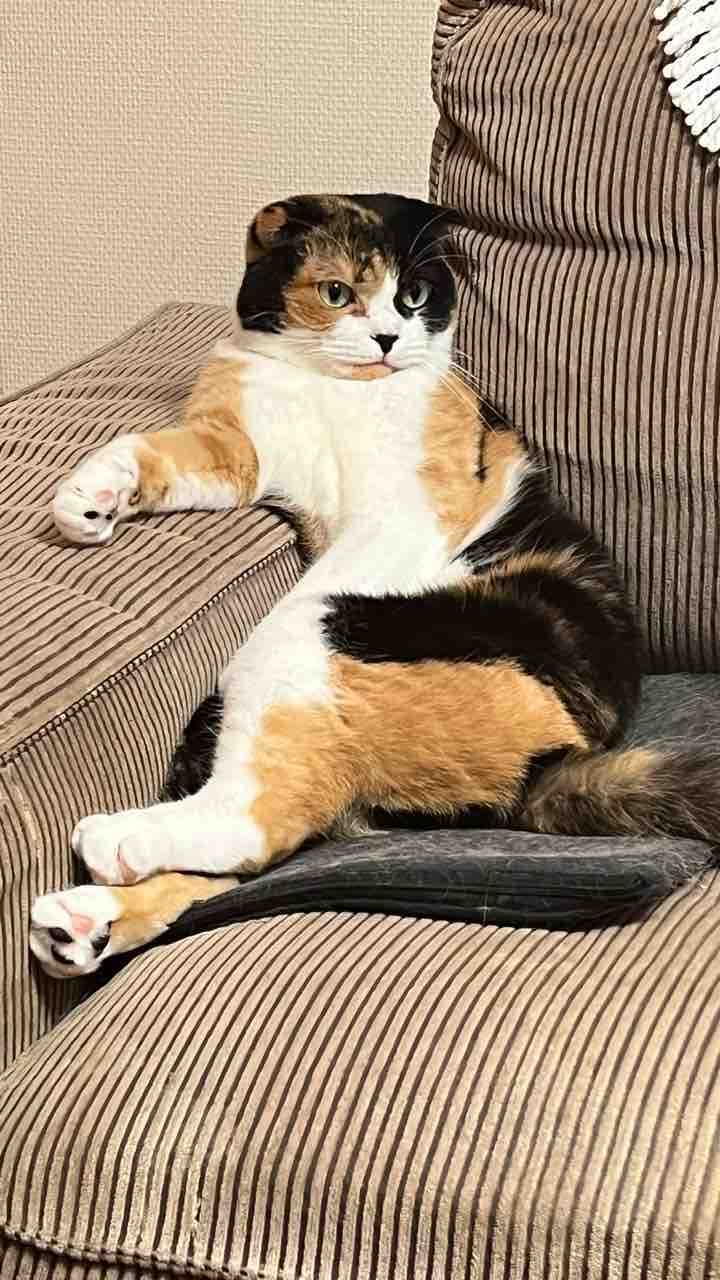 FullSizeRender