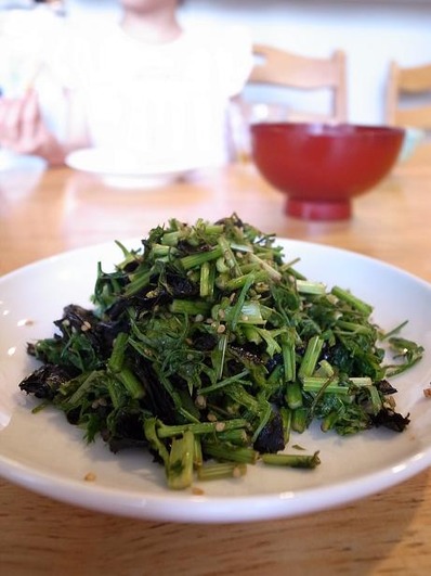 ¿Í»²¤ÎÍÕßÖ¤áb