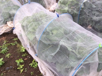 ��ڤȥ���٥�