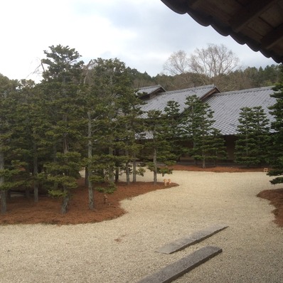 2015-12-28-14-39-11
