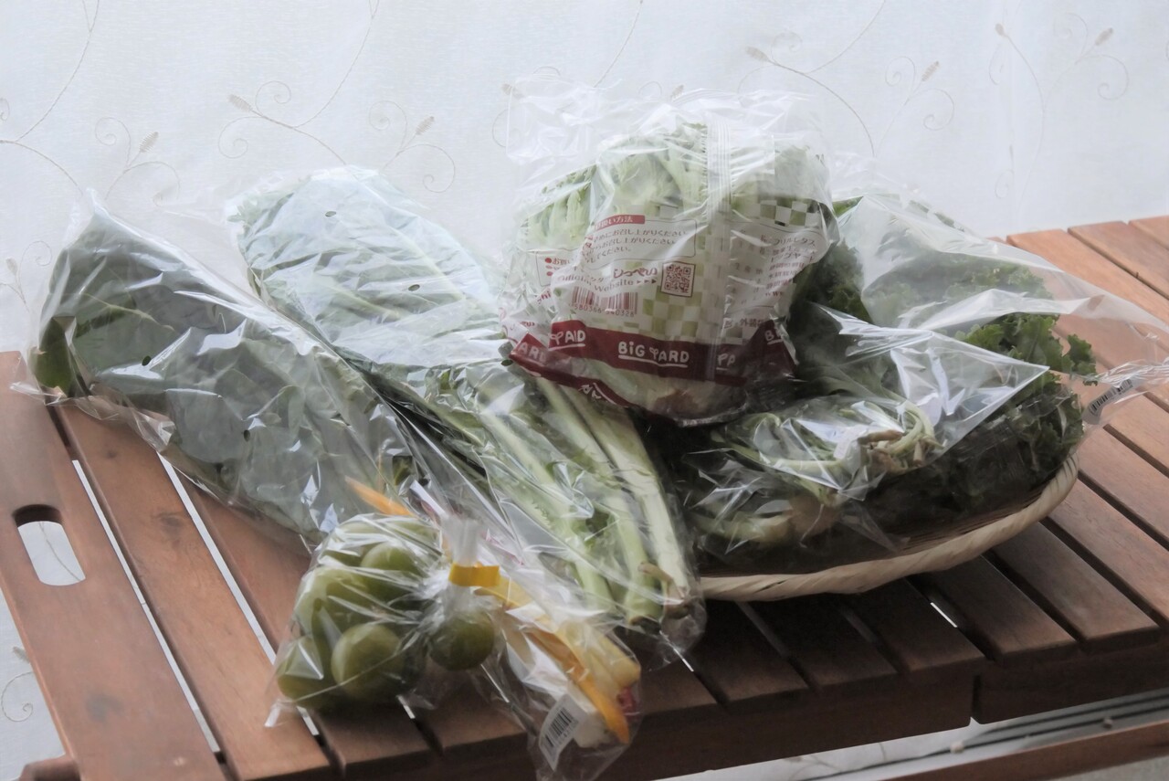 レシピ フリルレタス カーリーケール ルッコラ ガーデンクレス スイスチャード エンダイブ ロマネスカ サラダわさび菜のグリーンサラダ ビストロパパ パパ料理のススメ