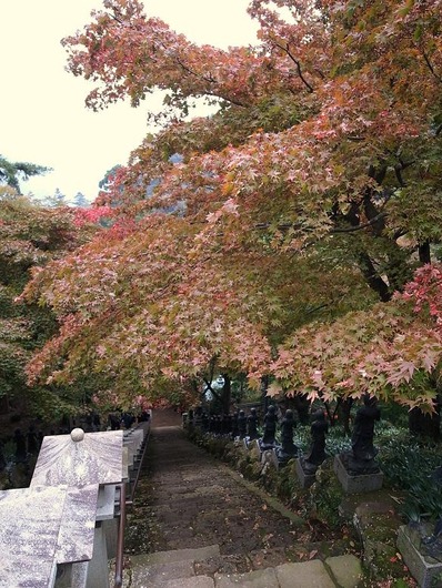 大山寺b