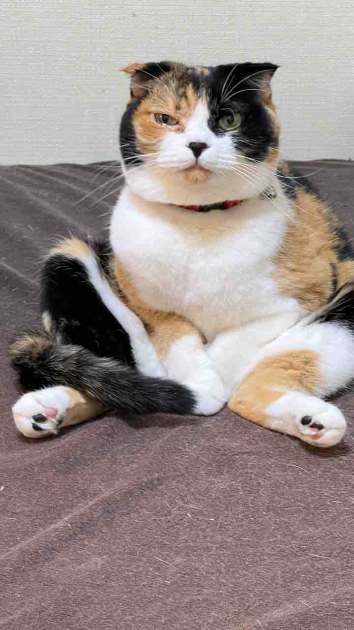 FullSizeRender