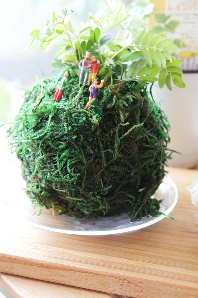 苔玉フィギア