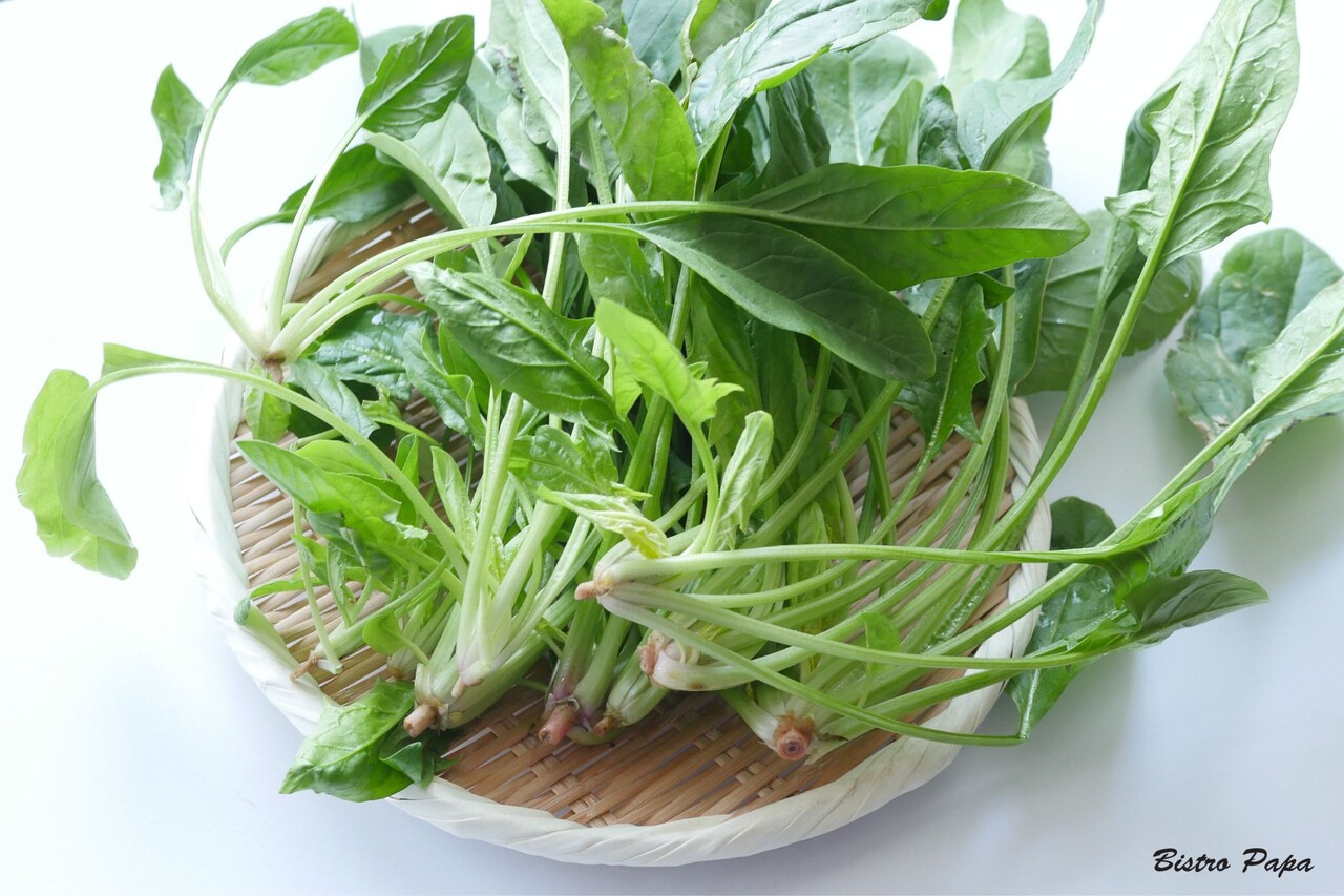 ¤Û¤¦¤ì¤óÁð¥í¥´²£5