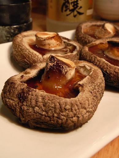 ´Ó°æ±à¾Æ¤¤·¤¤¤¿¤±b