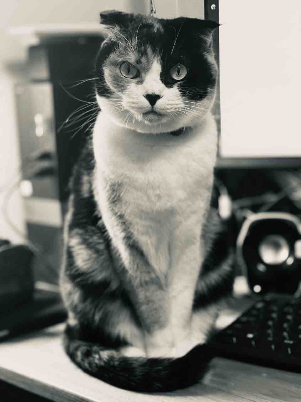 FullSizeRender