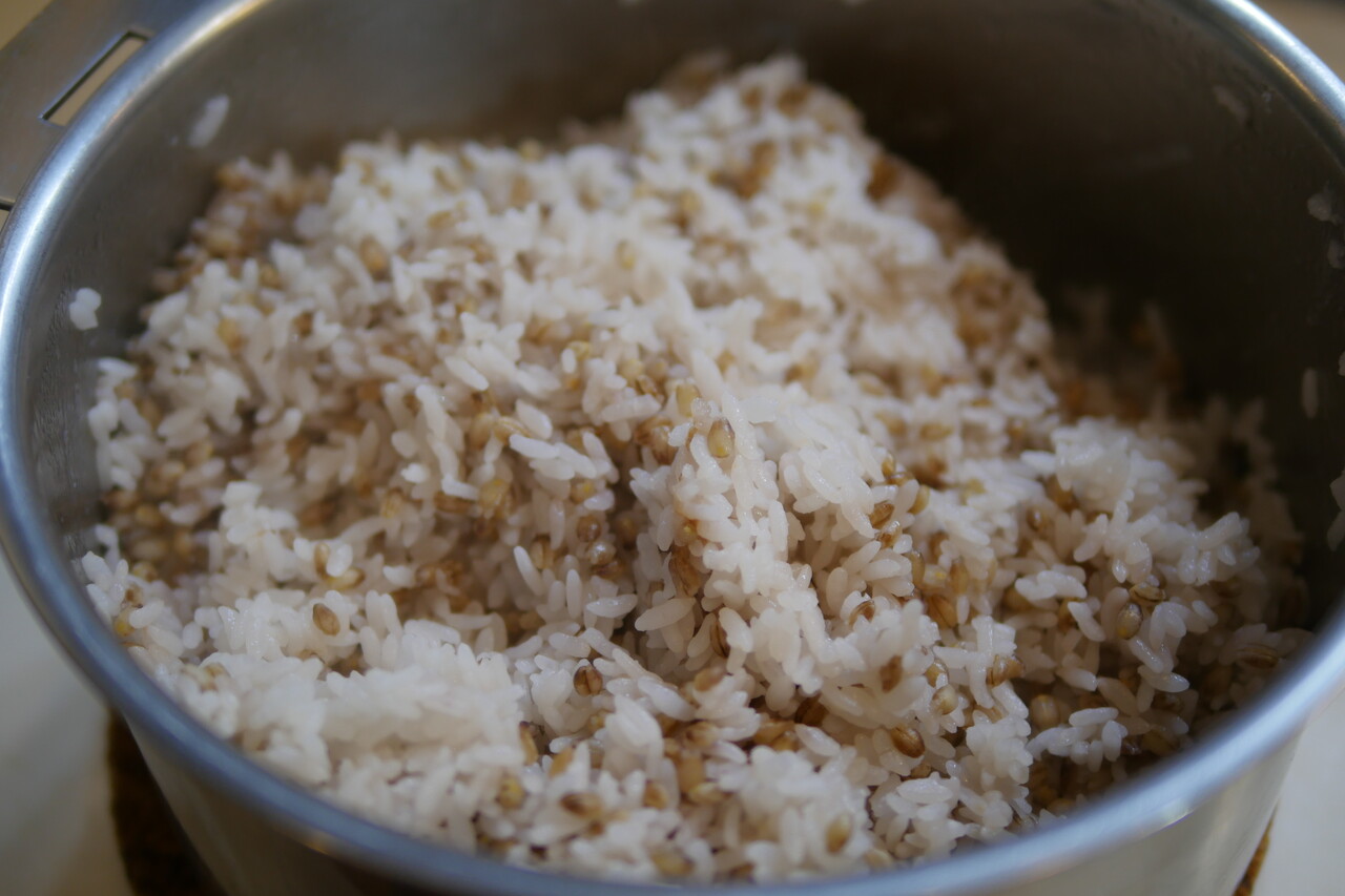 もち麦ごはん