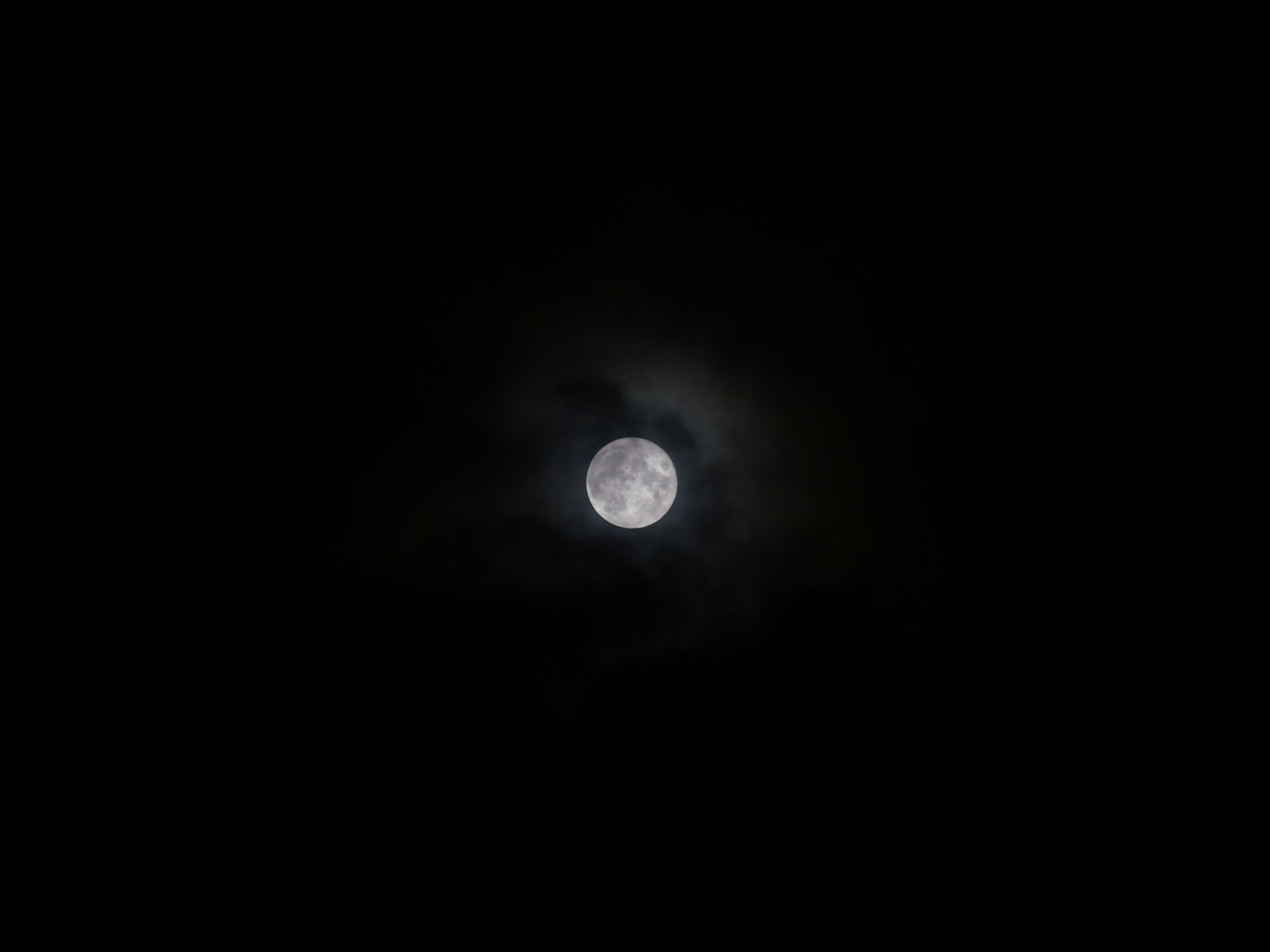 P1003036