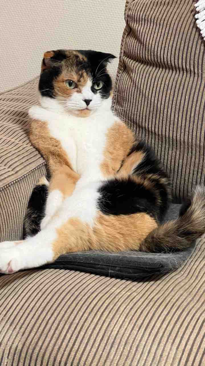 FullSizeRender