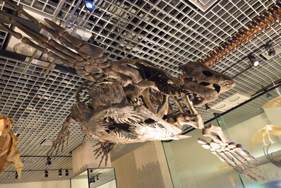 ��Ω�ʳ���ʪ�ۣ�