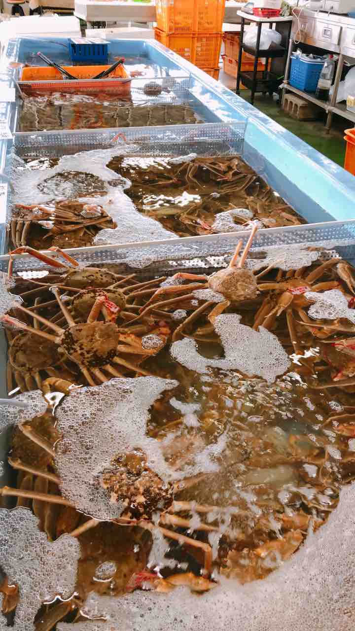 蟹取県に行ってきました 中村商店さんで松葉ガニのさばき方 食べ方を学び11月15日 日 の親子の日に 松葉ガニを食べつくすオンライン料理教室を開催 ビストロパパ パパ料理のススメ 蟹取県に行ってきました 中村商店さんで松葉ガニのさばき方 食べ方を学び11月15日 日 の親子の日に 松葉ガニを食べつくすオンライン料理教室を開催 ビストロパパ パパ料理のススメ