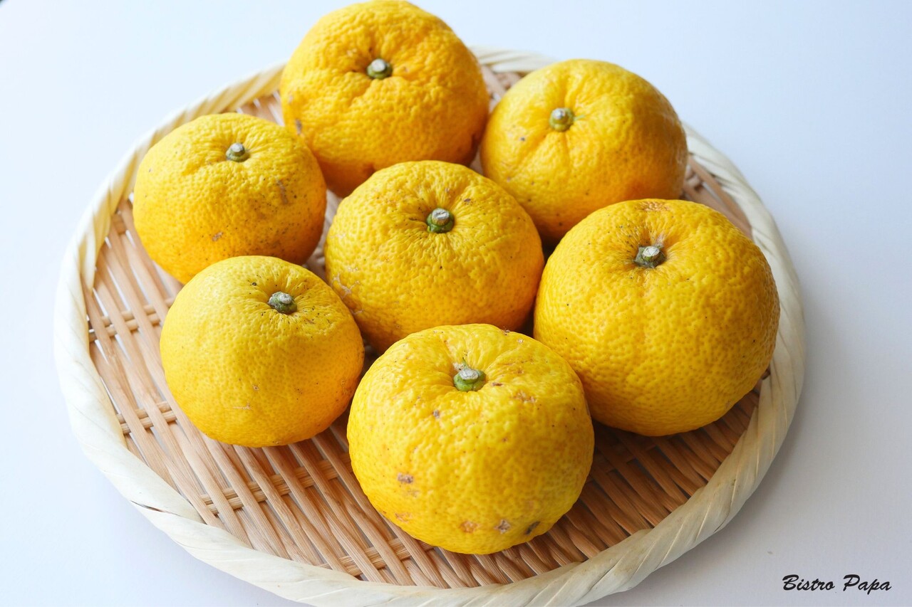�椺������12