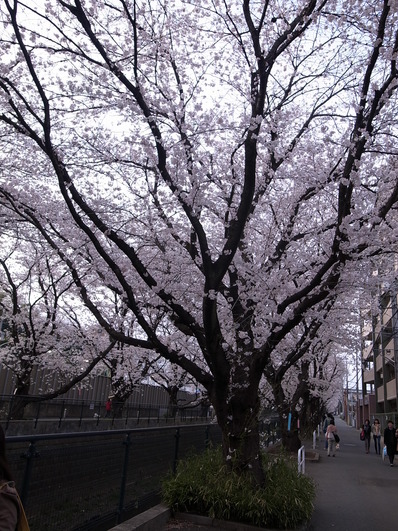 ¤ª¤Ï¤Ê¤ß£²