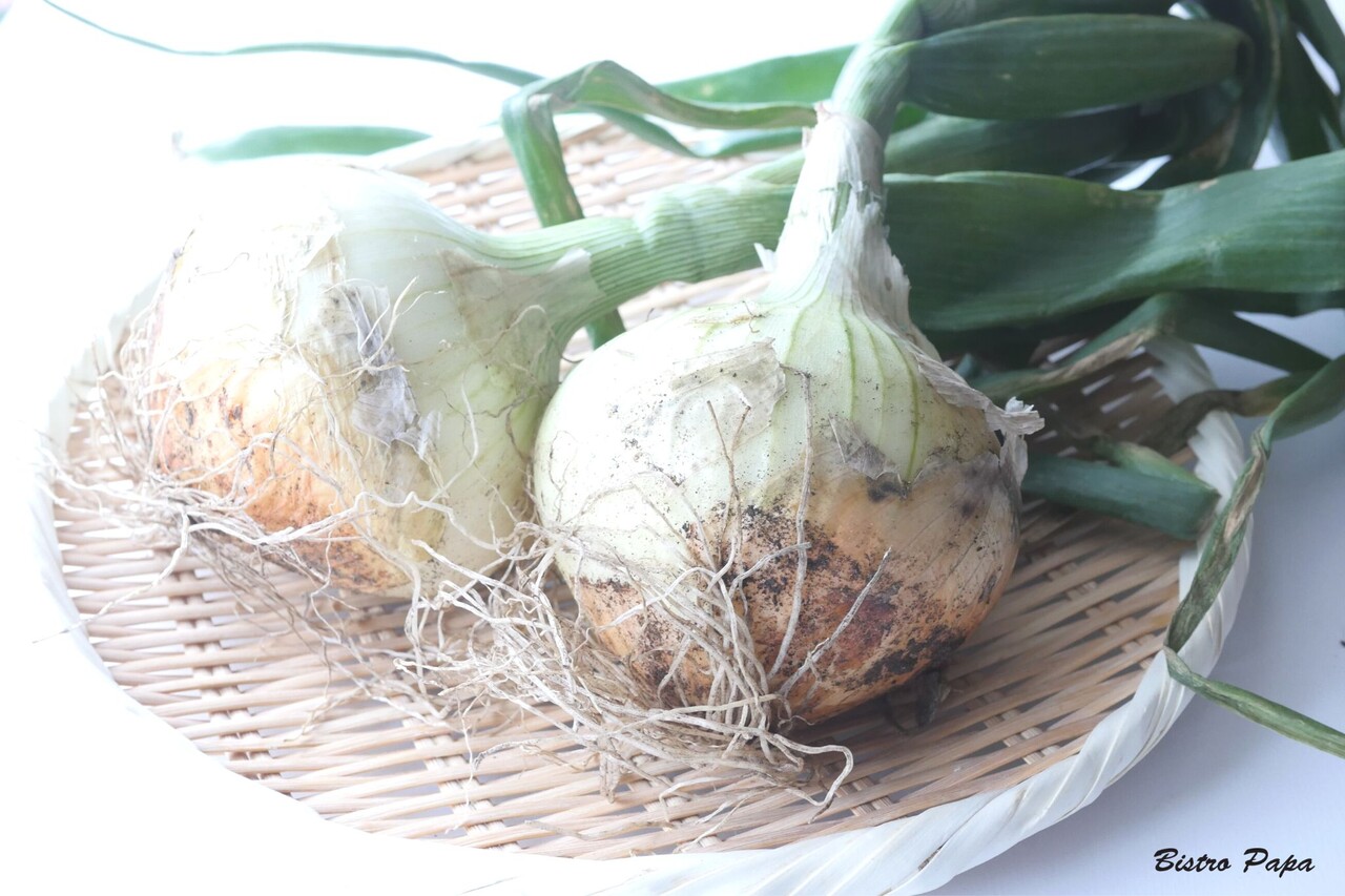 ¿·¶Ì¤Í¤®BistroPapa²£¥¯¥ì¥¸¥Ã¥È3