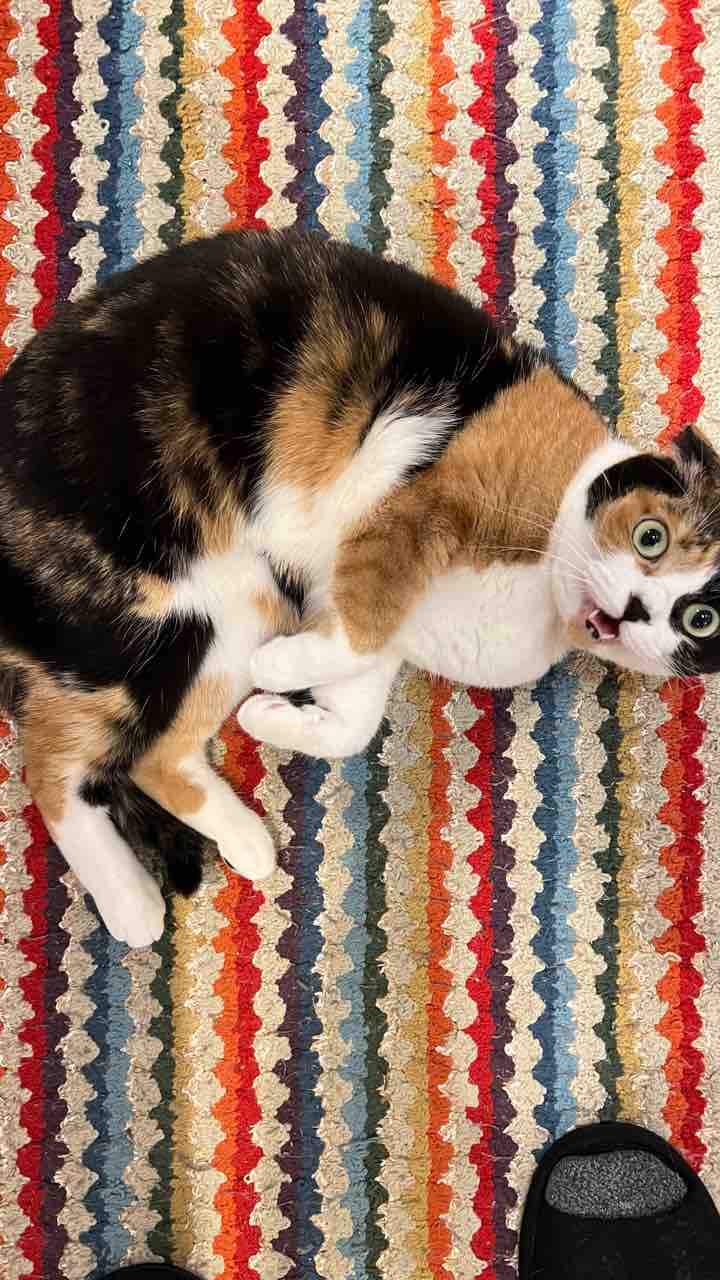FullSizeRender