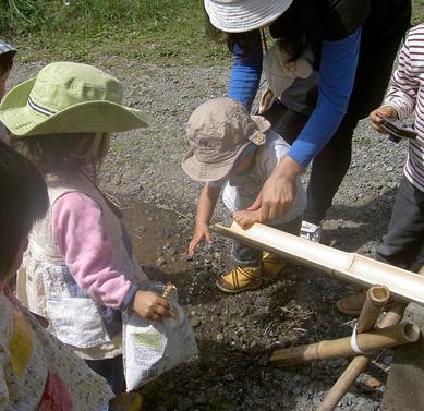 FJή���������