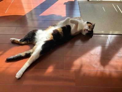 42898D74-D9C1-4D4B-BB12-99DEBD4FFB5E