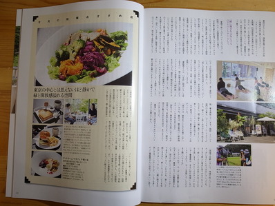 地知志食
