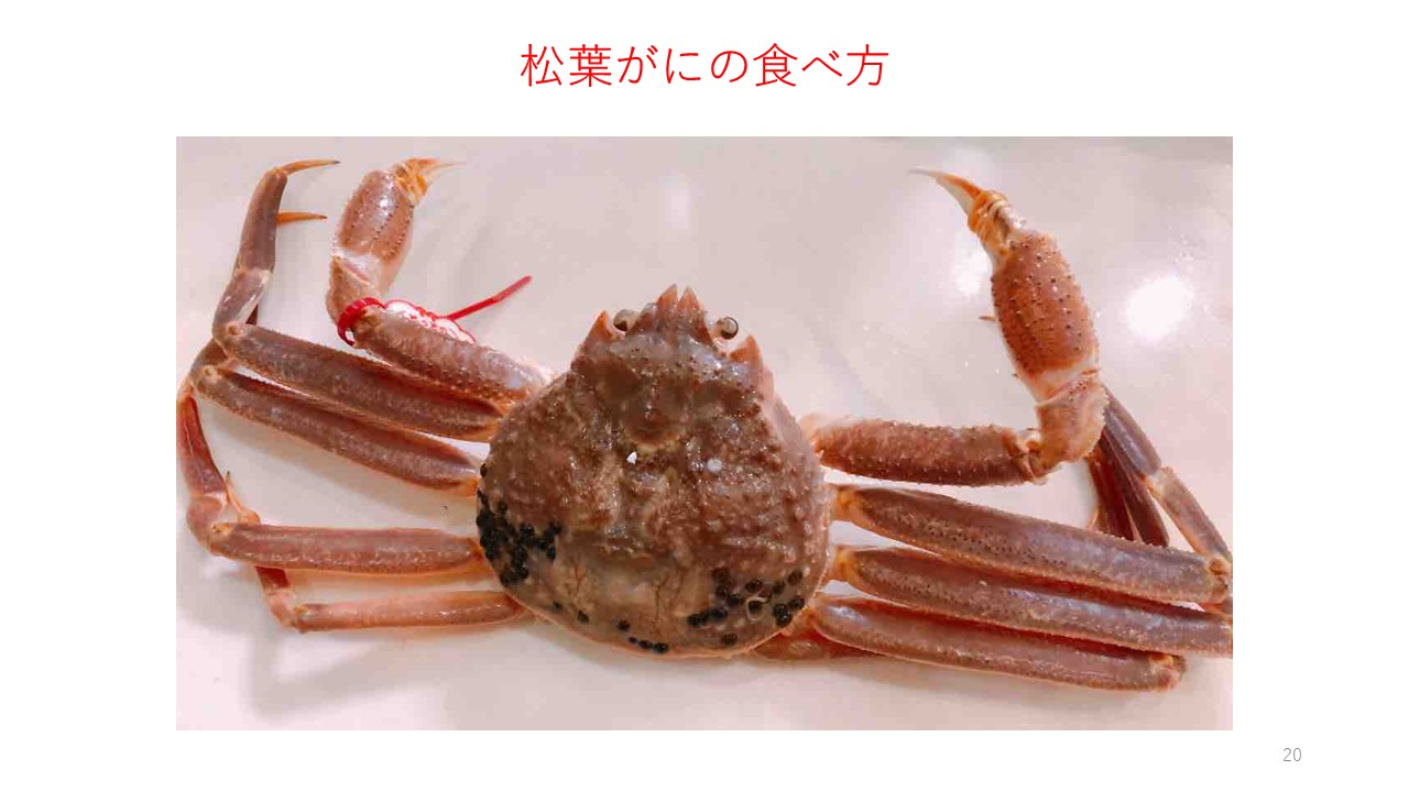 スライド20