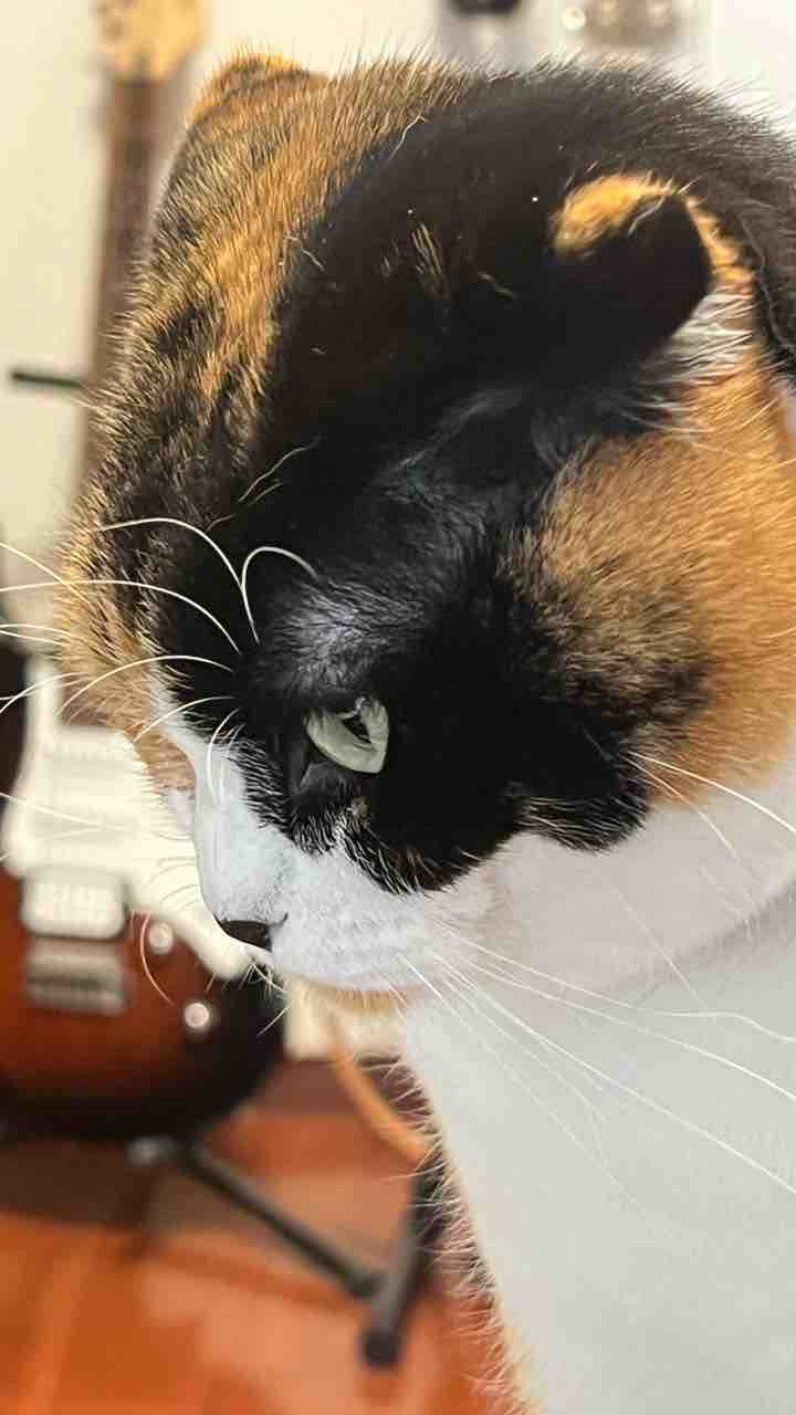 FullSizeRender