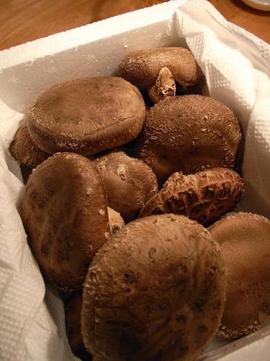 ´Ó°æ±à¥·¥¤¥¿¥±µÍ¤á¹ç¤ï¤»b