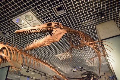 ��Ω�ʳ���ʪ�ۣ�