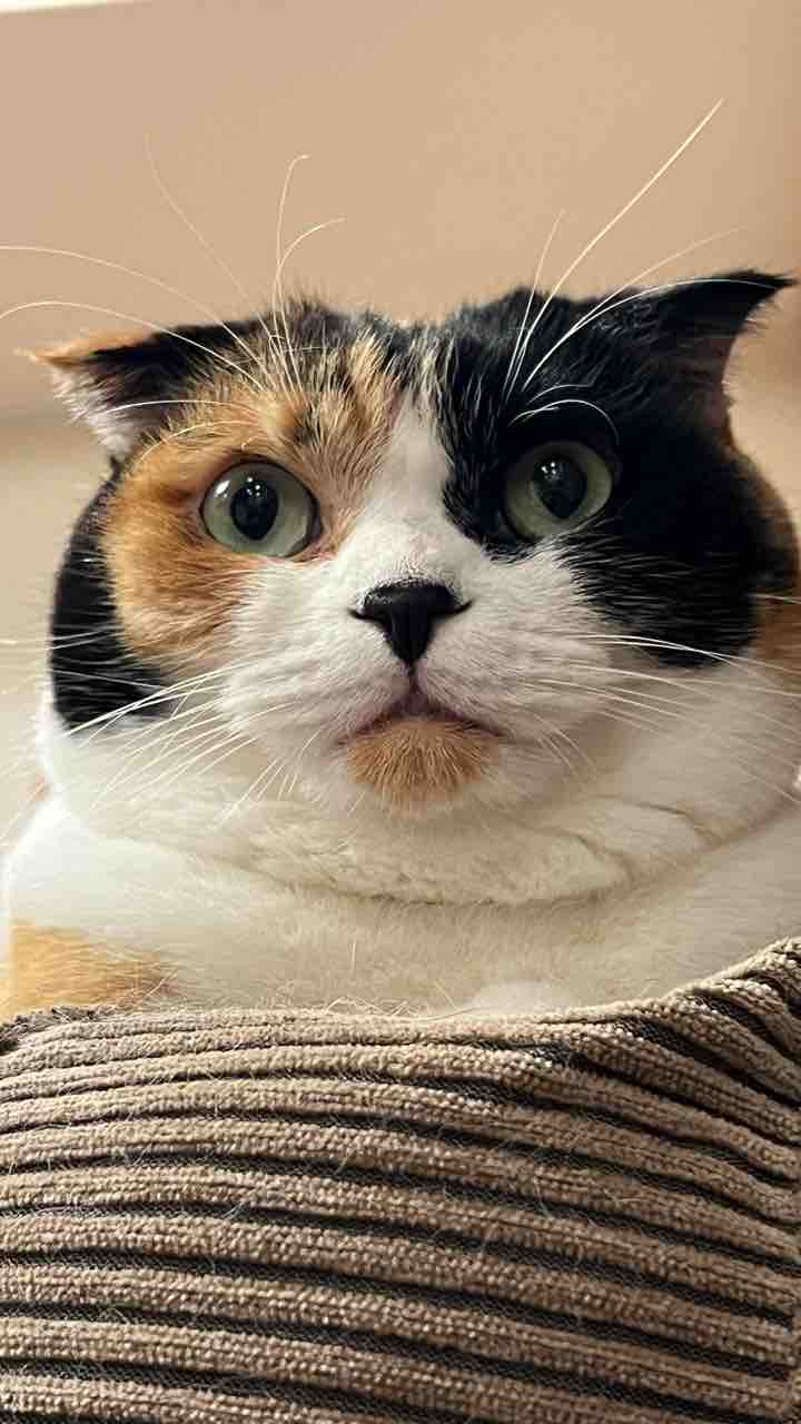 FullSizeRender