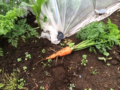 ��ͻ�����