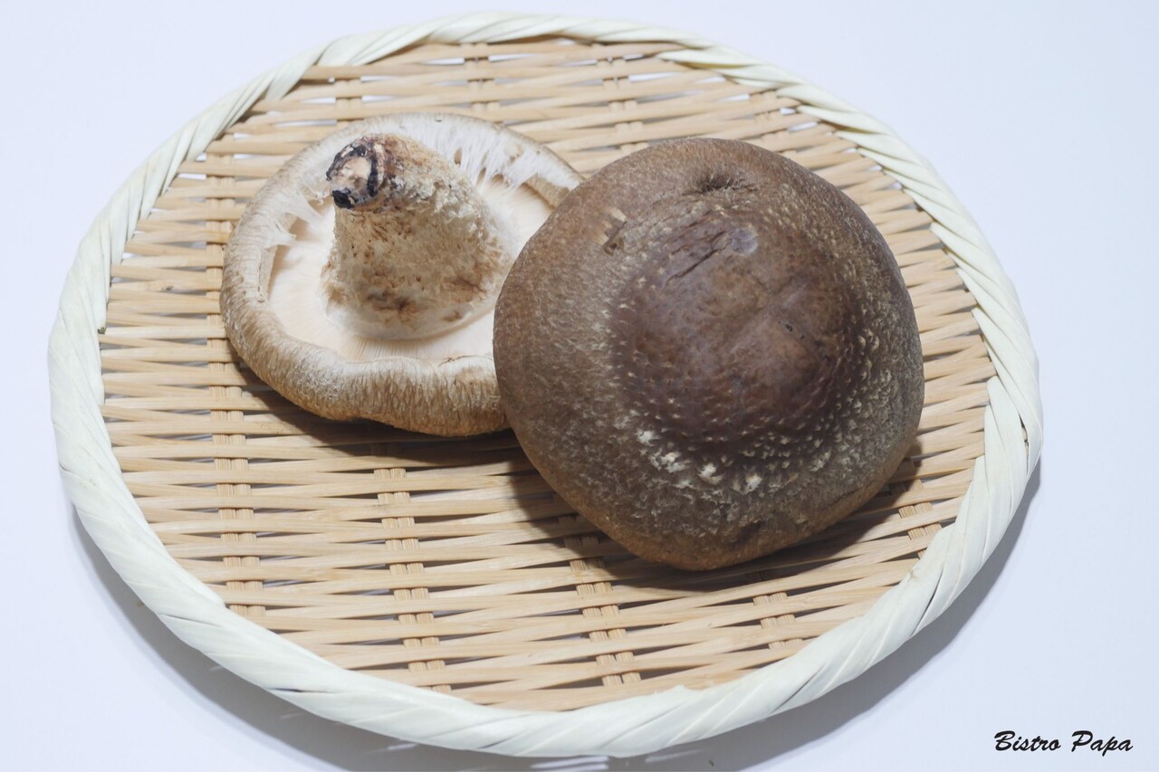 ¤¸¤ã¤ó¤Ü¤·¤¤¤¿¤±5