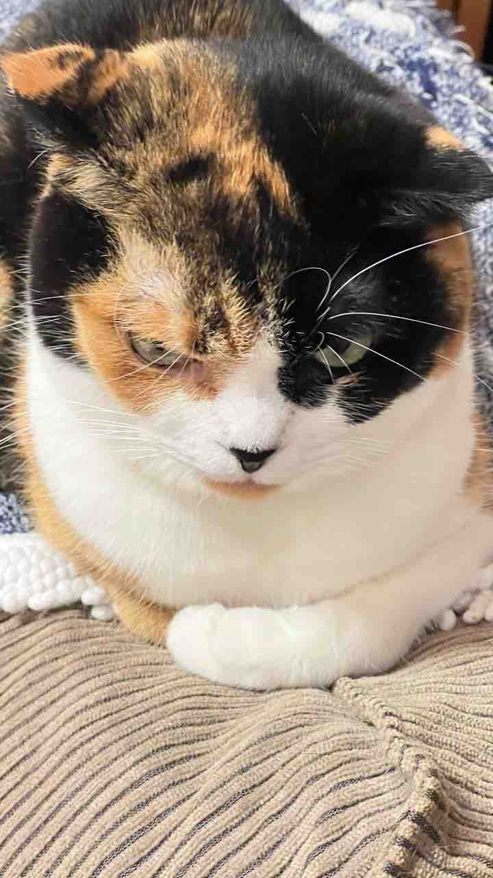 FullSizeRender