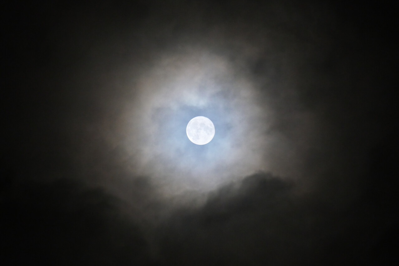 P1003031