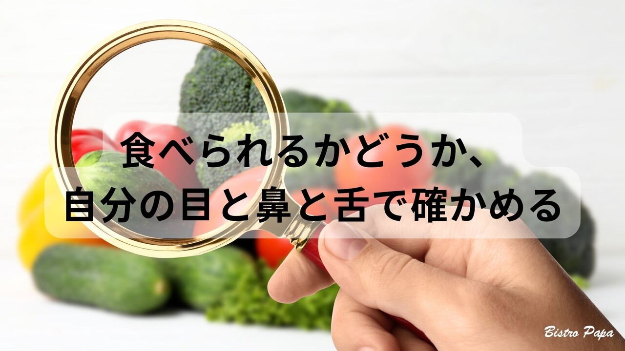 ¹Ö±é¡¦¥×¥ì¥¼¥ó²èÁüºîÀ®ÍÑ