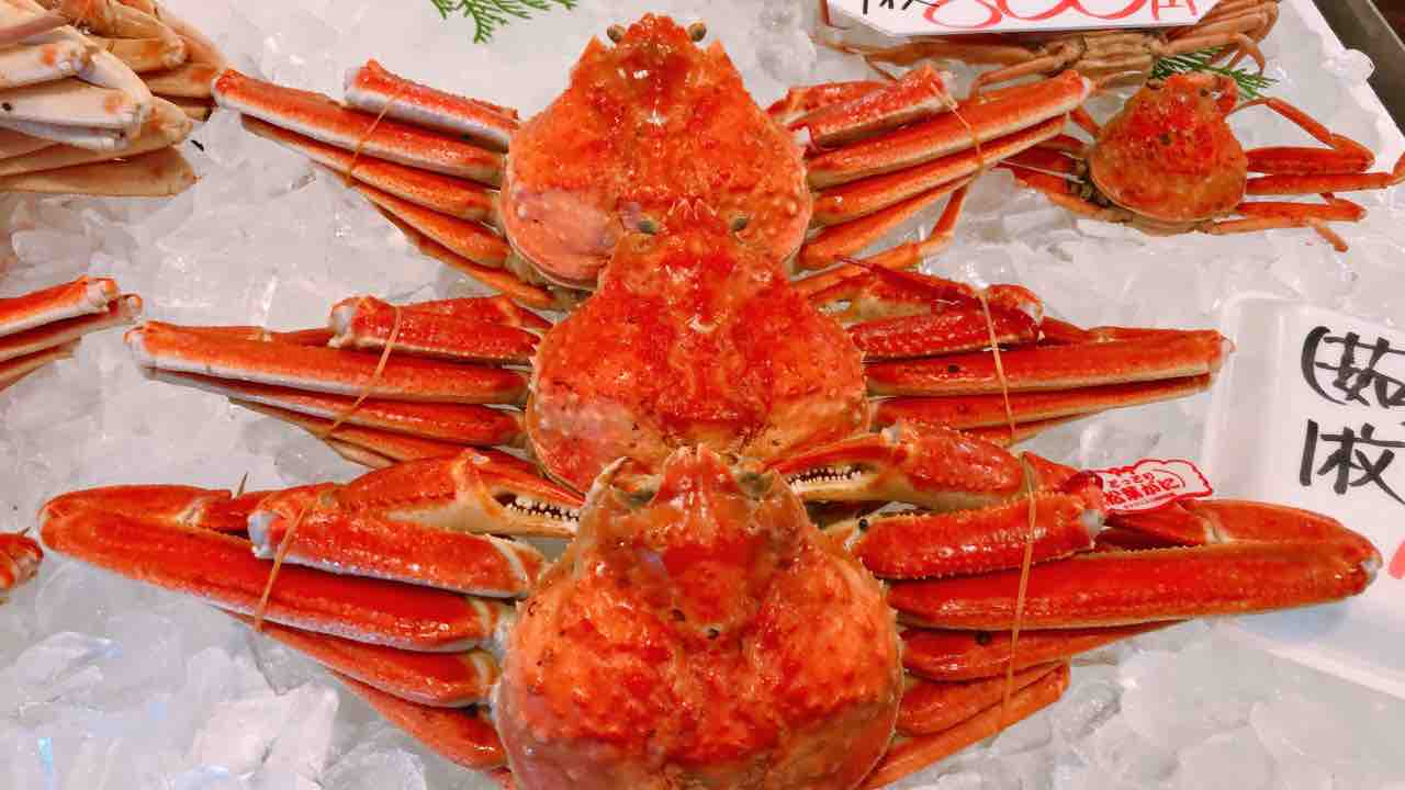蟹取県に行ってきました 中村商店さんで松葉ガニのさばき方 食べ方を学び11月15日 日 の親子の日に 松葉ガニを食べつくすオンライン料理教室を開催 ビストロパパ パパ料理のススメ 蟹取県に行ってきました 中村商店さんで松葉ガニのさばき方 食べ方を学び11月15日 日 の親子の日に 松葉ガニを食べつくすオンライン料理教室を開催 ビストロパパ パパ料理のススメ