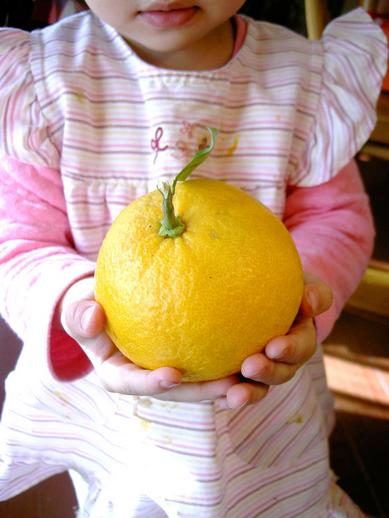 ¤ß¤«¤ó¤È¥Þ¥ª½õb